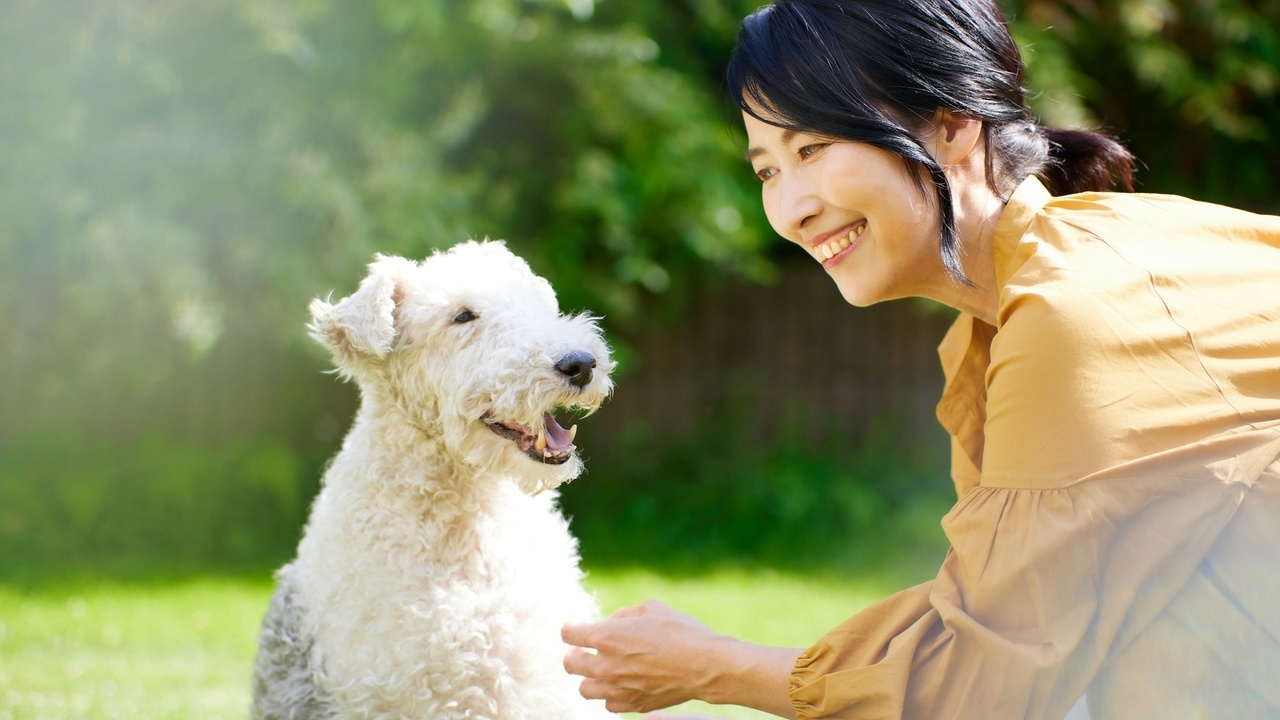 忙しい看護師は普通に結婚相手でと出会いにくい - 看護師の婚活 結婚相談所ナース福岡